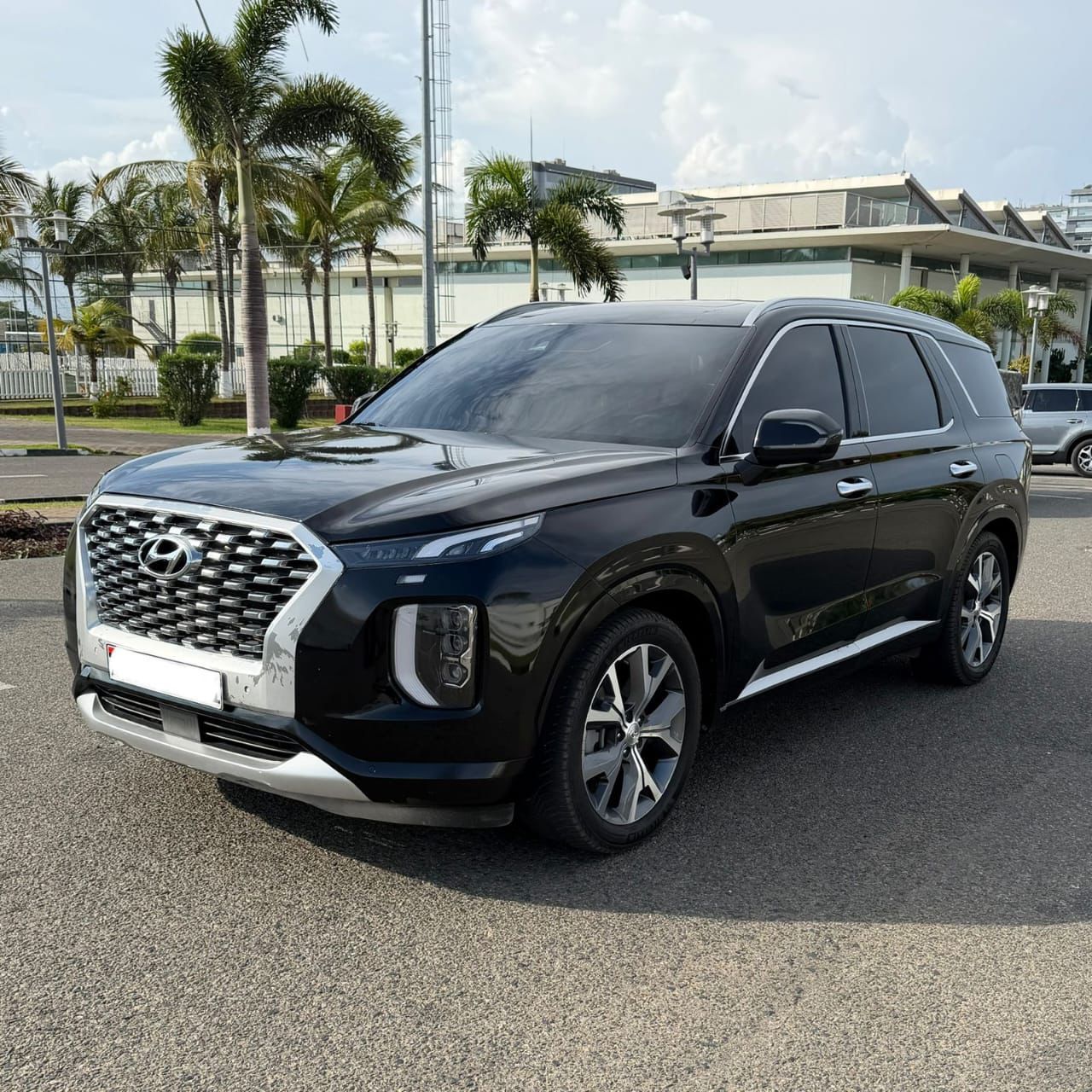 HYUNDAI PALISADE FULL